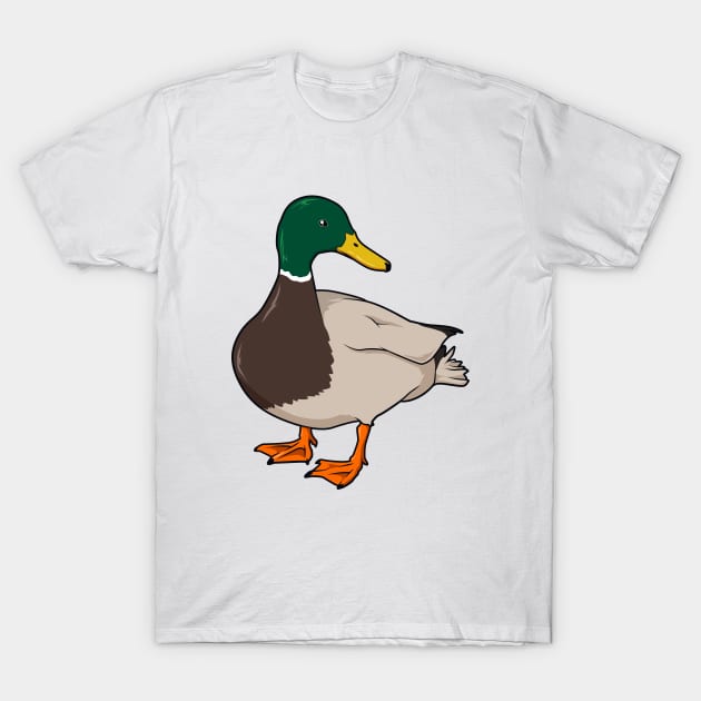 Drawing of mallard duck T-Shirt by Modern Medieval Design